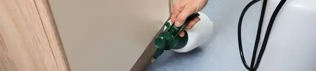 Bed bug exterminator treating baseboards and cracks with targeted spray in Rockford, IL