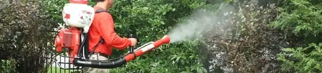 Mosquito control technician fogging shrubs and landscaping for mosquito treatment in Rockford, IL