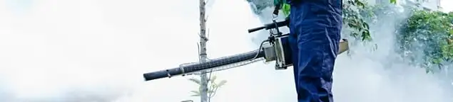 Pest control technician fogging an outdoor area for insect control in Rockford, IL
