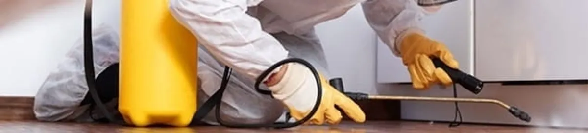 Roach exterminator treating cracks and crevices along kitchen baseboards in Rockford, IL