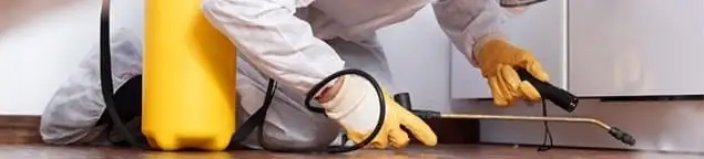 Roach exterminator treating cracks and crevices along kitchen baseboards in Rockford, IL