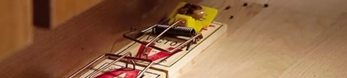Rodent trap set indoors for rodent control and prevention in Rockford, IL