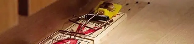 Rodent trap set indoors for rodent control and prevention in Rockford, IL