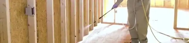 Termite treatment technician applying spray along framing and unfinished walls in Rockford, IL
